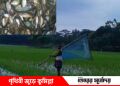 হারিয়ে যাচ্ছে বিভিন্ন প্রজাতির দেশীয় ছোট মাছ!