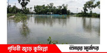 নাঙ্গলকোটে বন্যার পানিতে ভেসে গেছে ২৫লাখ টাকার মাছ, দিশেহারা খামারি।