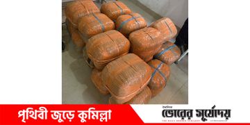 দাউদকান্দিতে বয়লারের ফিডের বস্তার আড়ালে ১০৫ কেজি গাঁজা উদ্ধার;পিকআপ জব্দ।